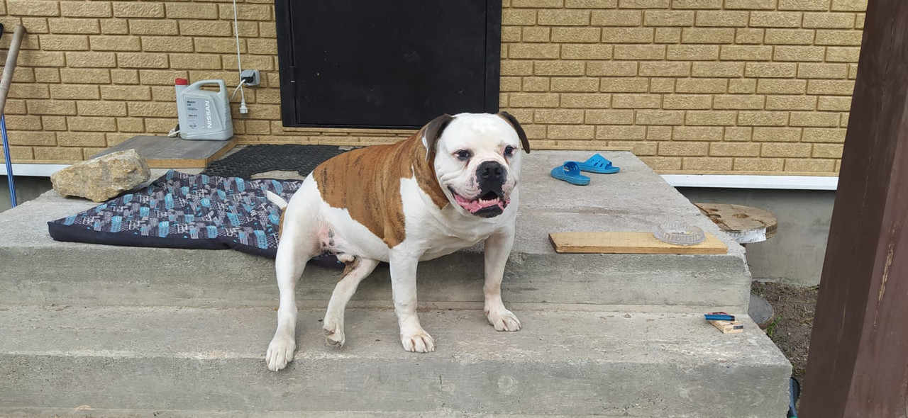 36ED9B14-1B08-4D28-B0D6-848C5805D609