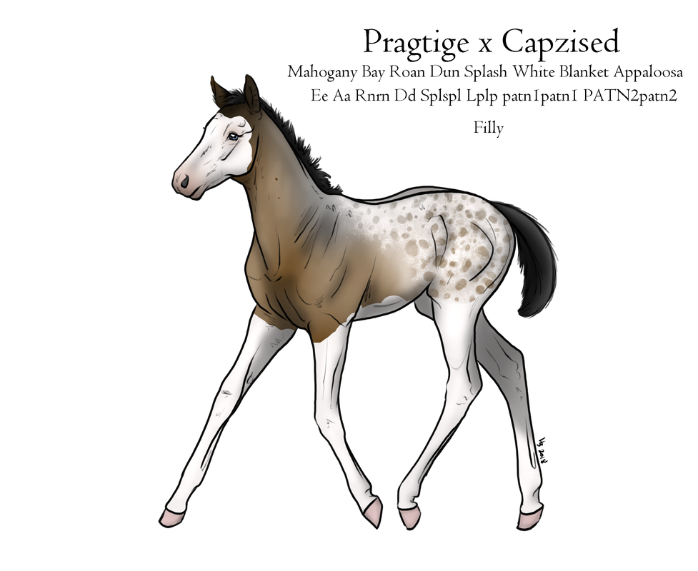 pera-filly.png