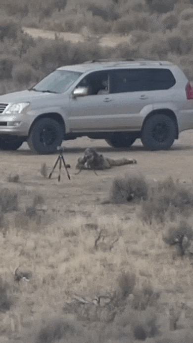 https://i.postimg.cc/Z5t9mffq/video-2026-08-09-05-19-28-(1).gif