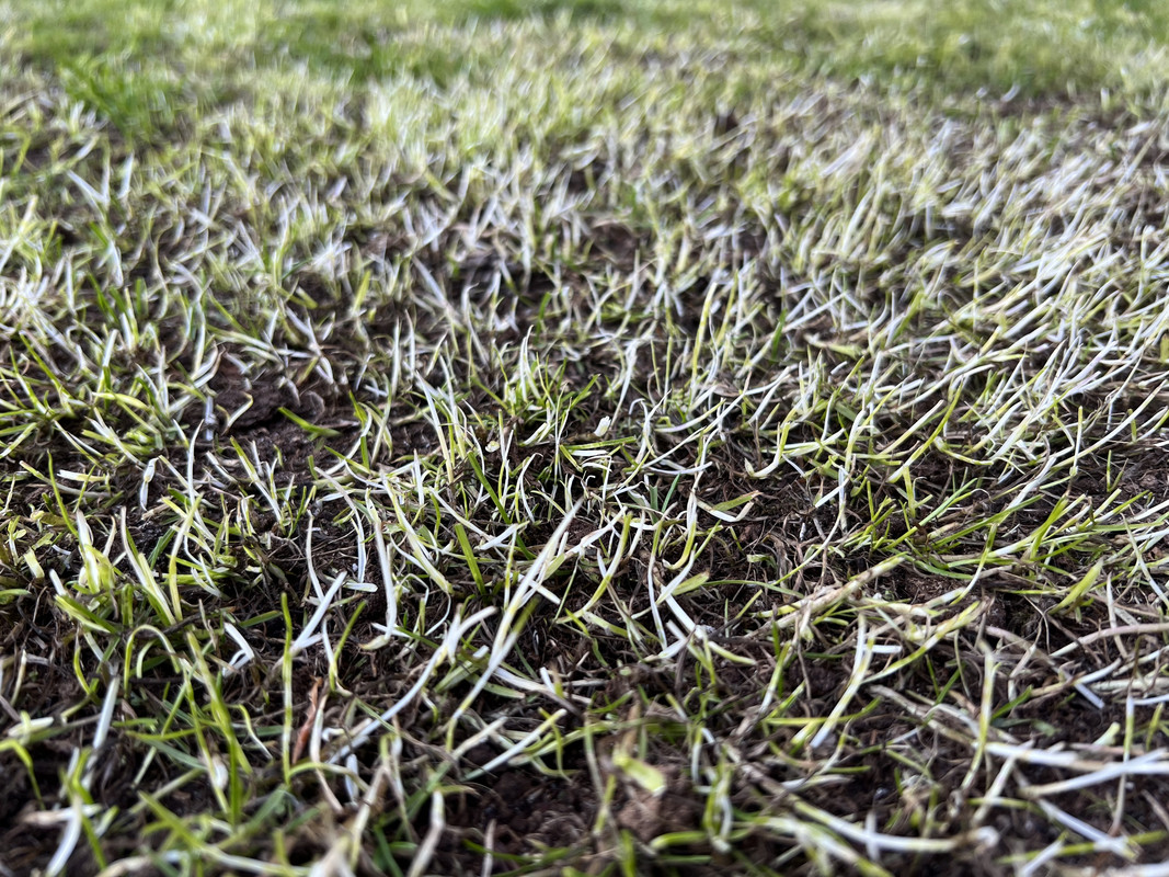 9B586C7A-0F24-4676-8CAC-DB41C2673CCB