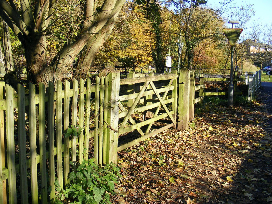 DSCF0712.jpg