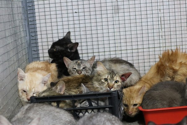 CB1FC2D1-D747-47F1-B7A2-DEA61C97AF22