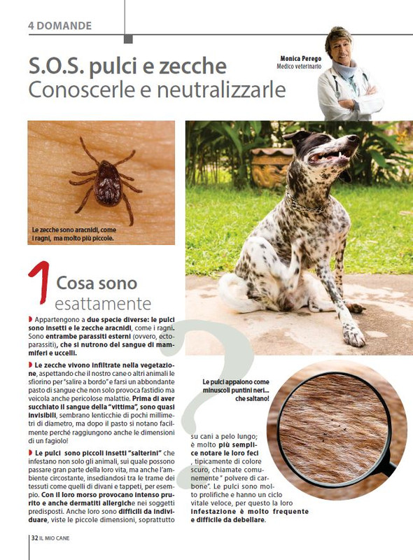 Il M C Apr-Mag 2023 (3)