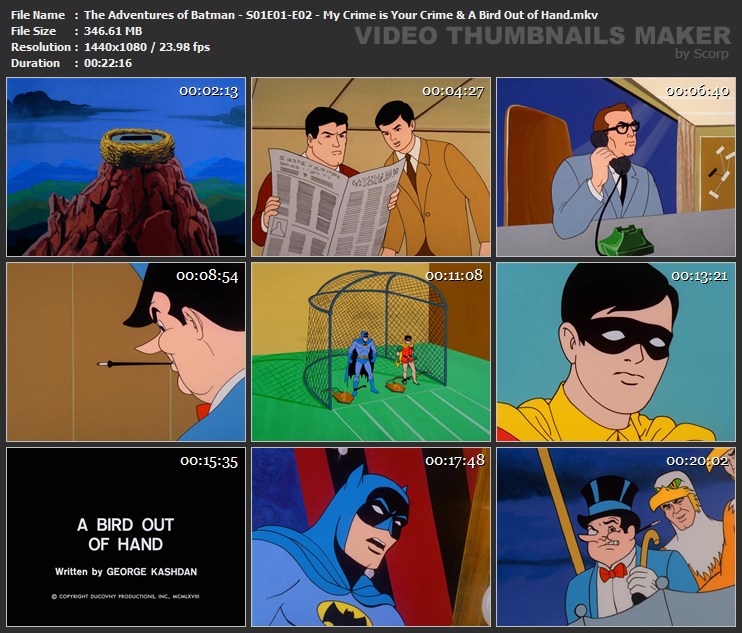 The Adventures of Batman - S01E01-E02 - My Crime is Your Crime & A Bird Out of Hand.mkv