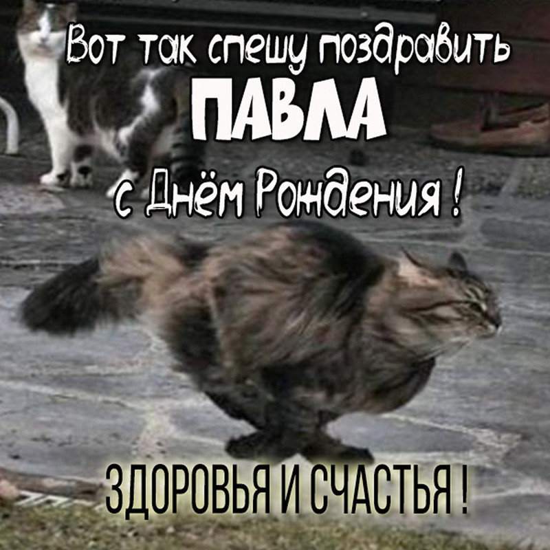 prikolnaya kartinka s dnem rozhdeniya pavel mouzhchine копия — Postimages