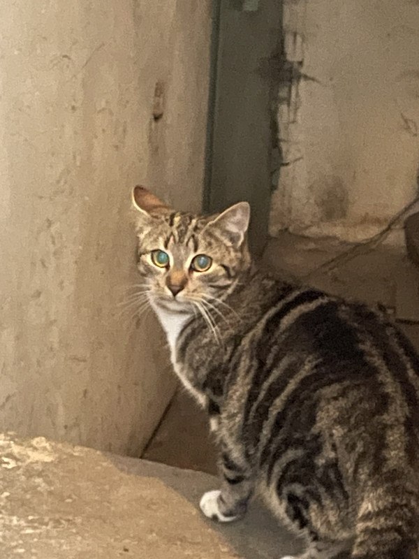 0F0191C9-3B45-4F1C-818A-E979E6EA278F