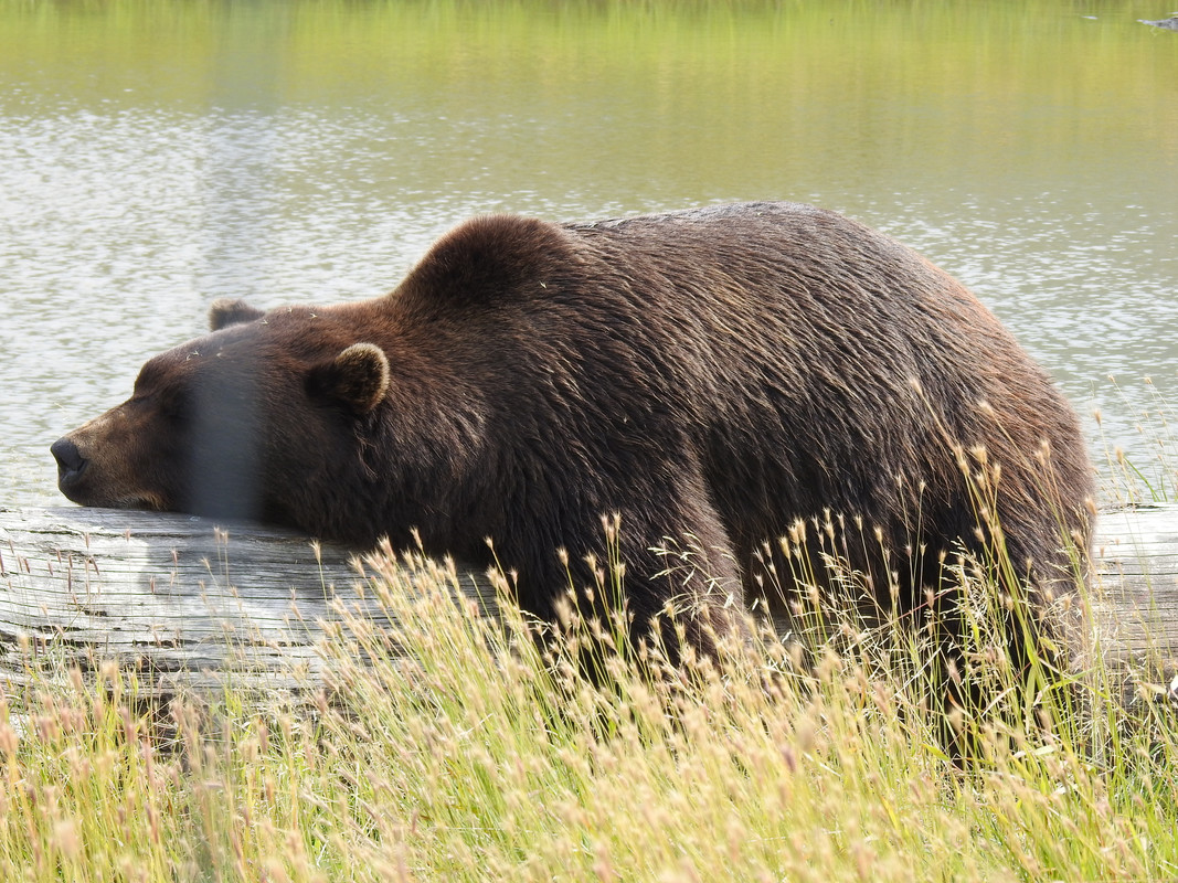 1EE28322-E9C8-4017-8632-693E4534D8DD