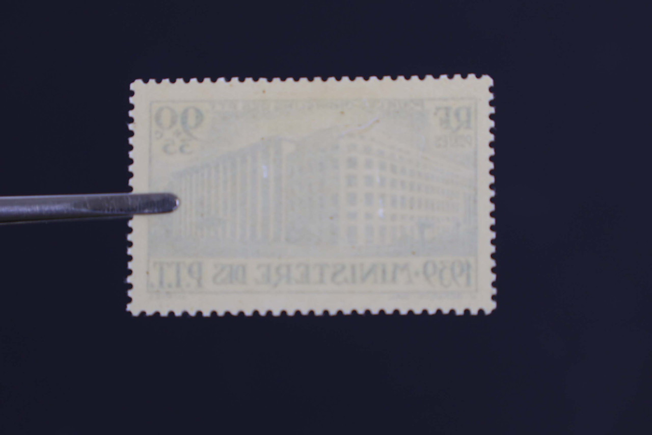 IMG 7079