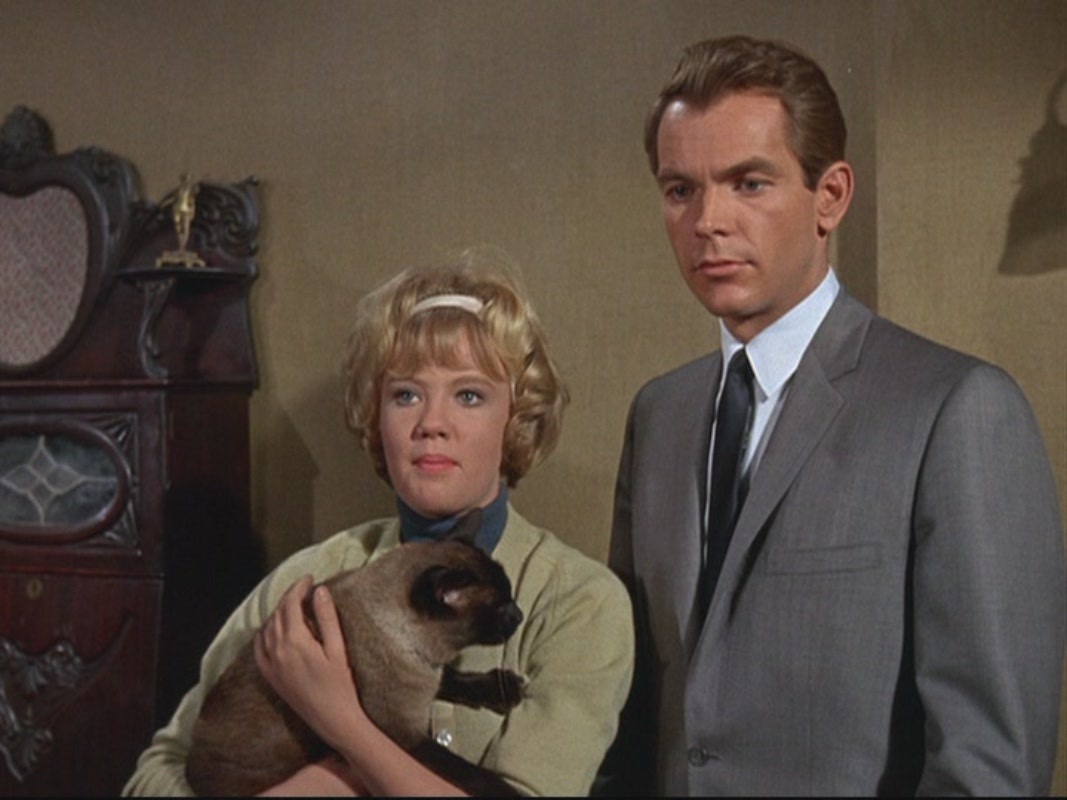 14-That-Darn-Cat-classic-disney-18061419-1067-800