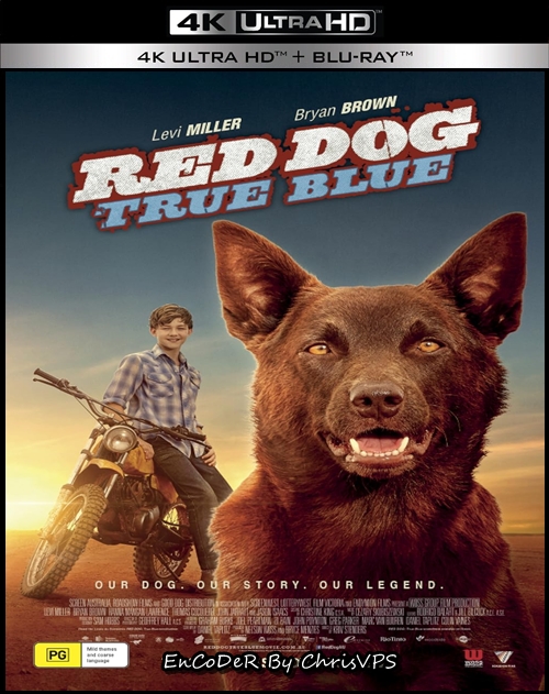 Moje wakacje z Rudym / Red Dog: True Blue (2016) MULTI.HDR.2160p.BluRay.DTS.HD.MA.AC3-ChrisVPS / DUBBING i NAPISY