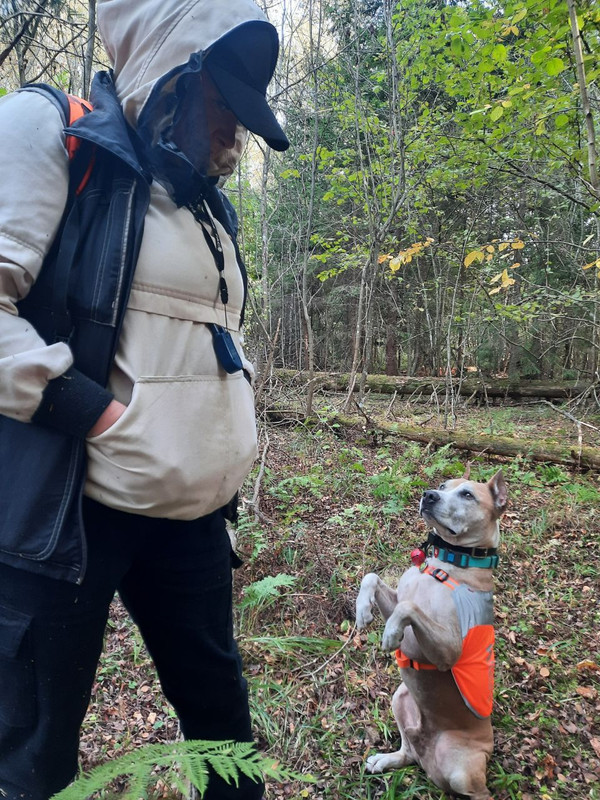 photo_2024-09-24_22-16-18 (2)