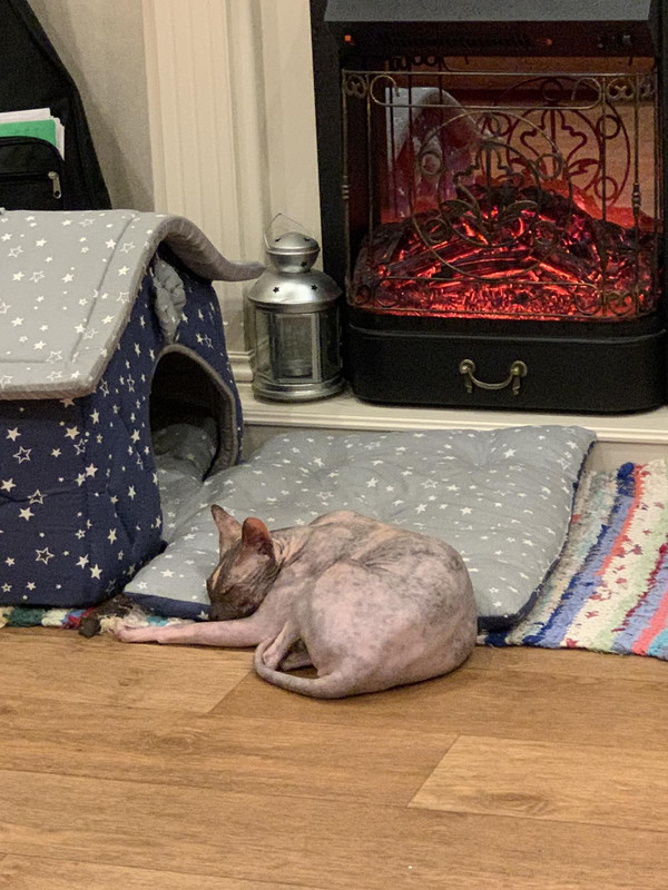 IMG-07bb92a12b800b28a16595e76d1fe74c-V