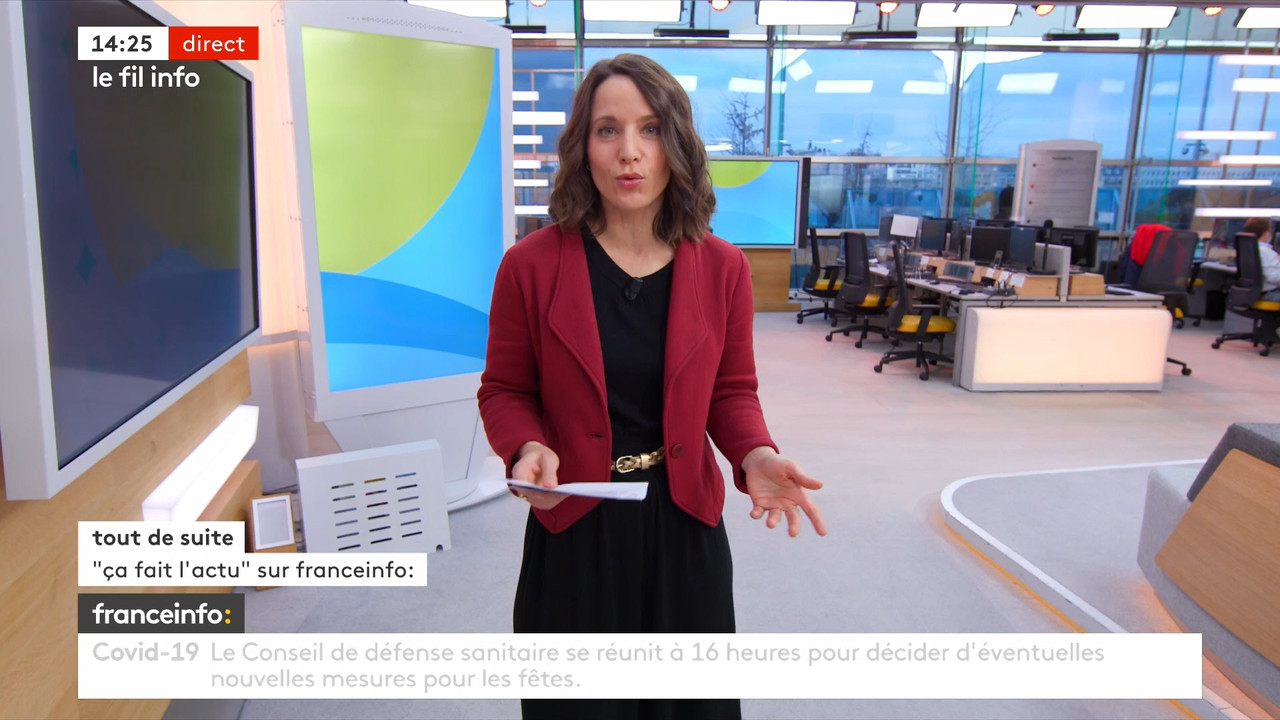 12.17 - 12.59.00 - Le fil info 14h-17h. Au sommaire   Vrai ou fake. -....ts_snapshot_29.17.959