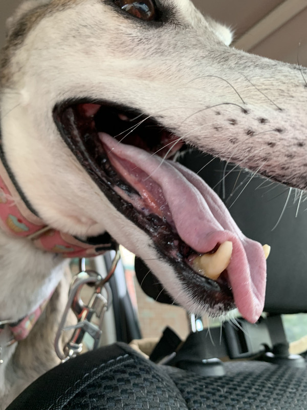 03B640DE-5530-421A-8322-3344BDD7A87A