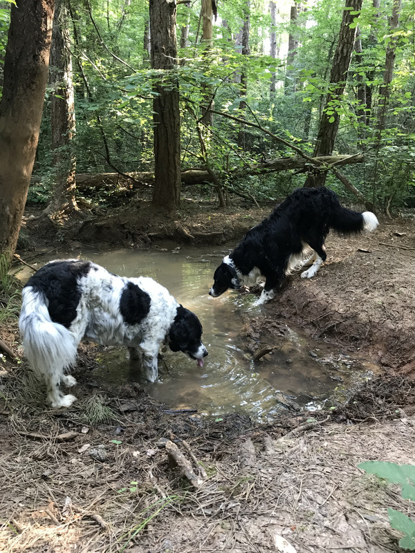 CF624611-1A48-48C7-A265-941611E065DD