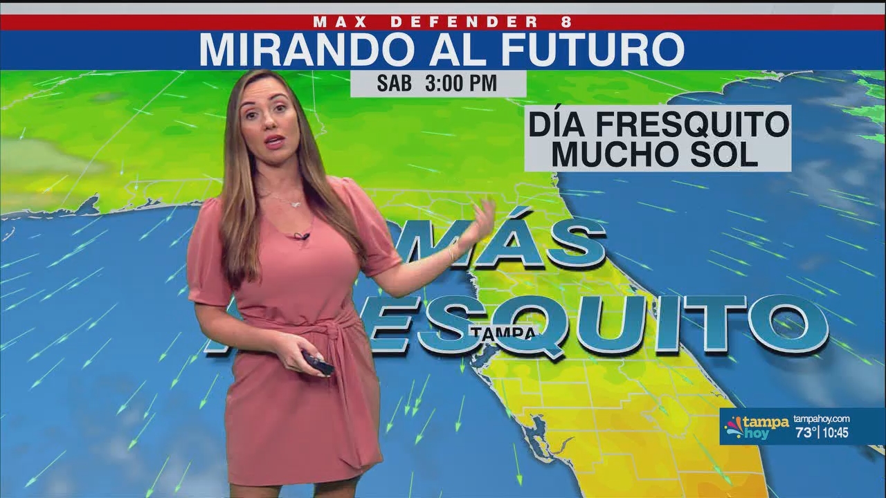 Noticias Tampa Hoy_20241121_03300400.ts_snapshot_16.13.622