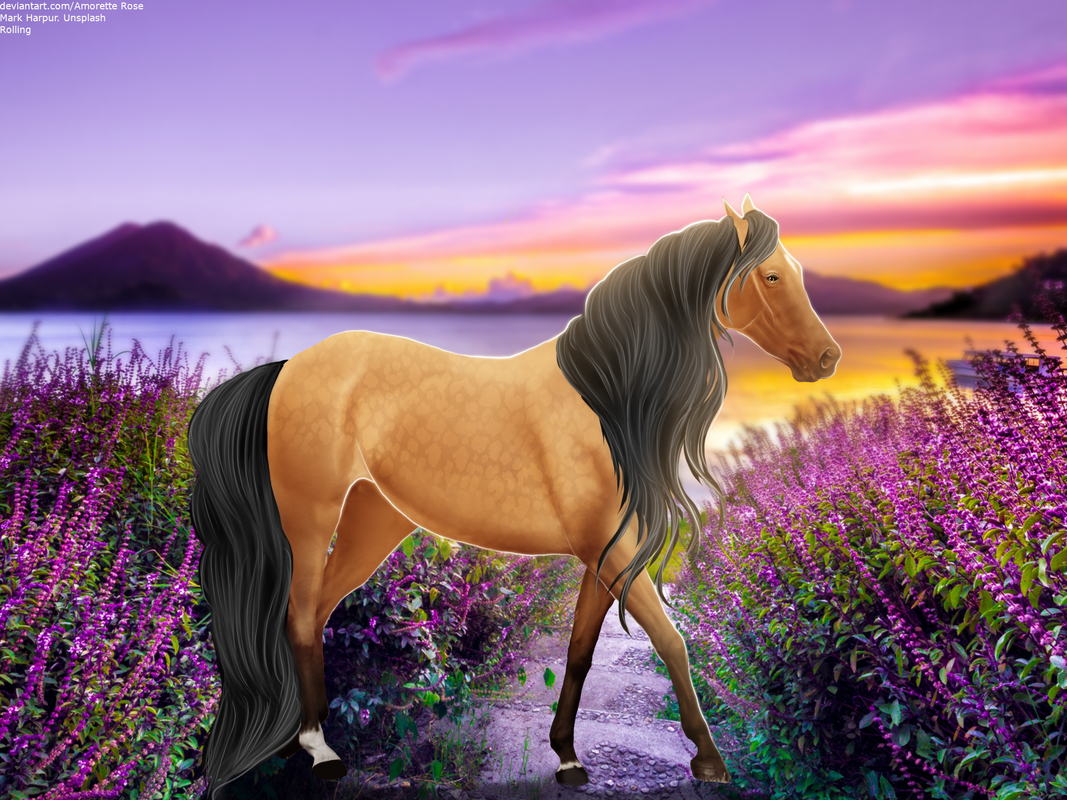 Tranquility-piece.png