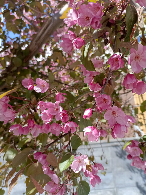 IMG_20240523_103127_702