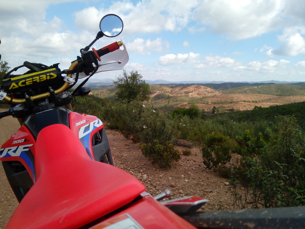 IMG_20210501_110831 (1)