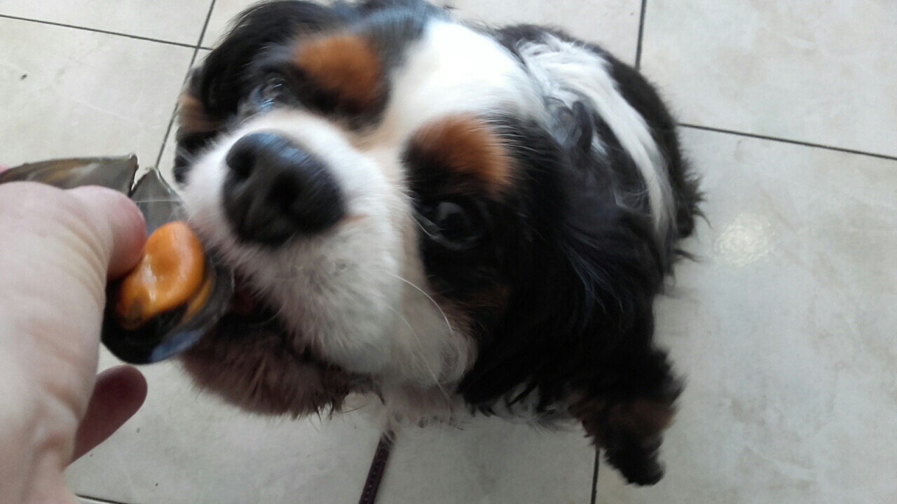 F4A3FEC3-14B0-483A-8429-80B0FAAD1E5A