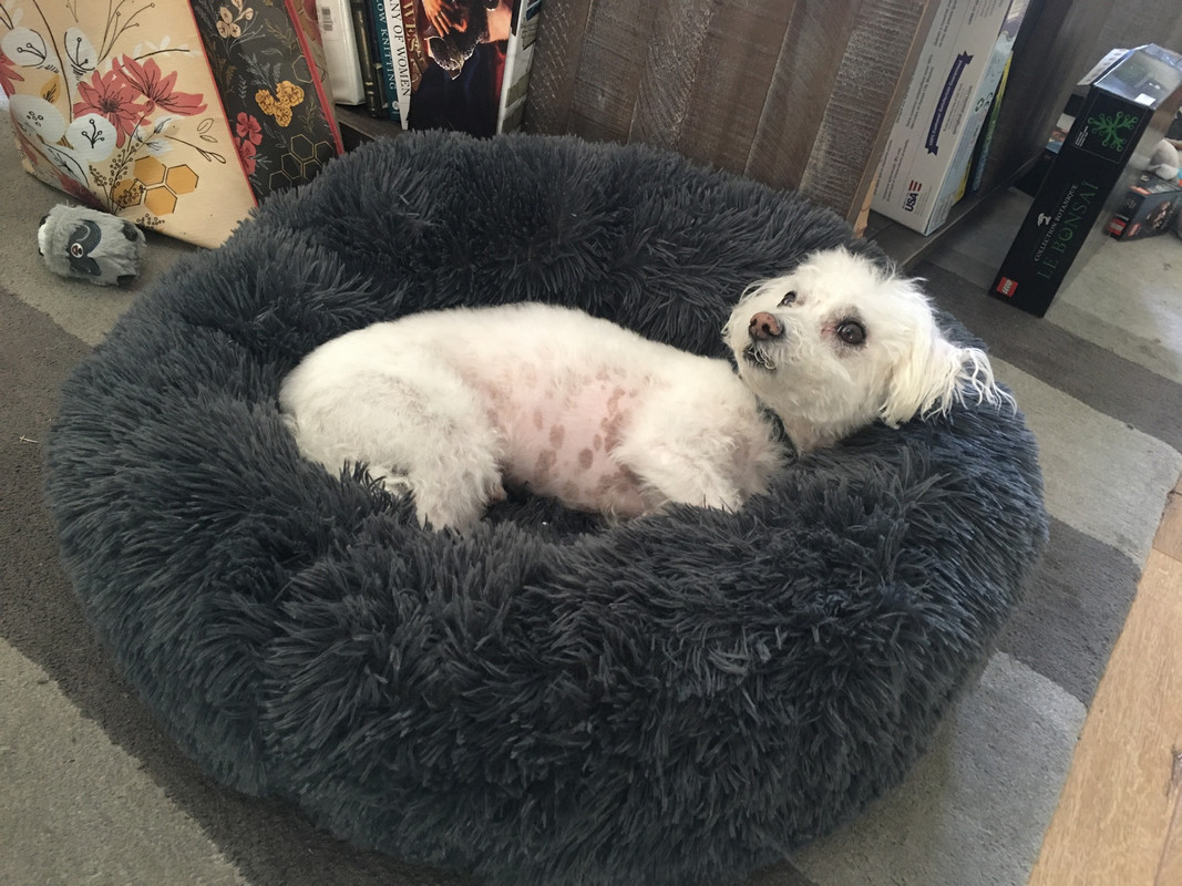 AA8D5F5A-EB4D-4AF4-AE4D-DCDC5D05CA98