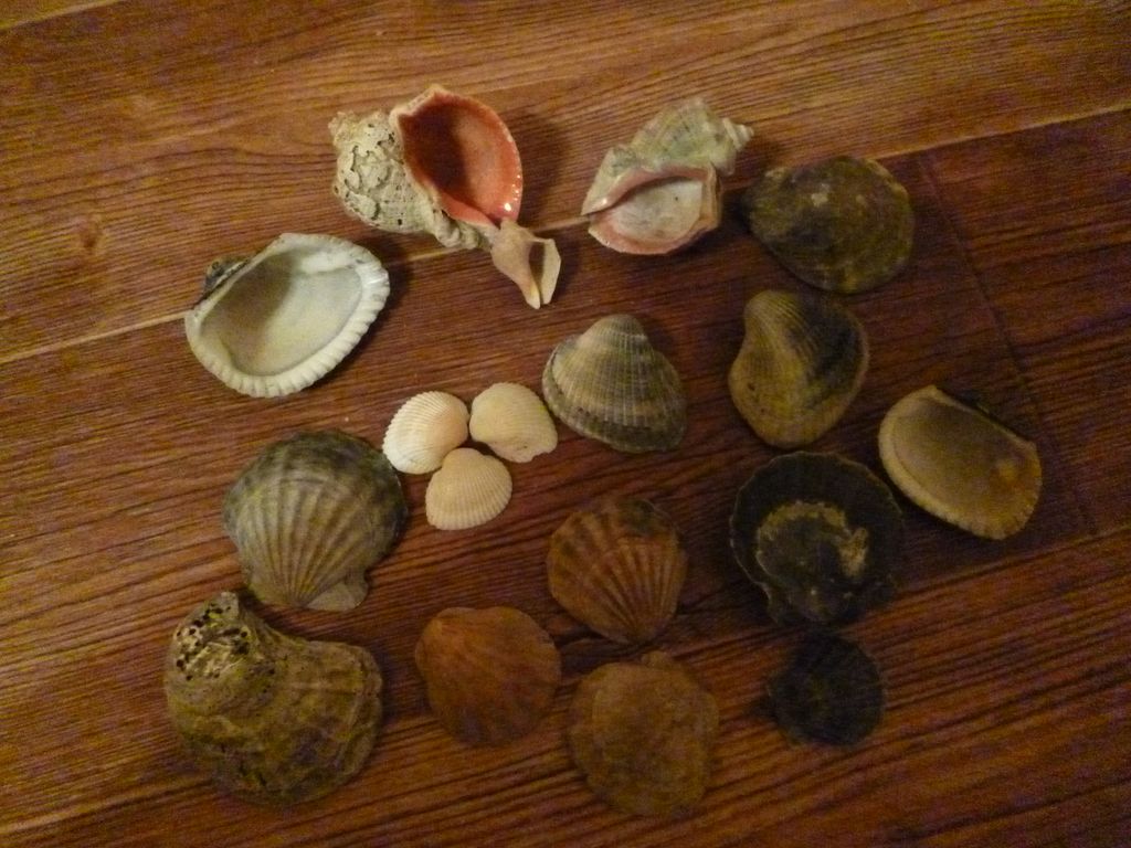 P1190267 [Разрешение рабочего стола]