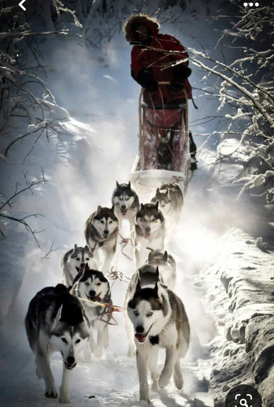 Screenshot_20231223_224941_Pinterest