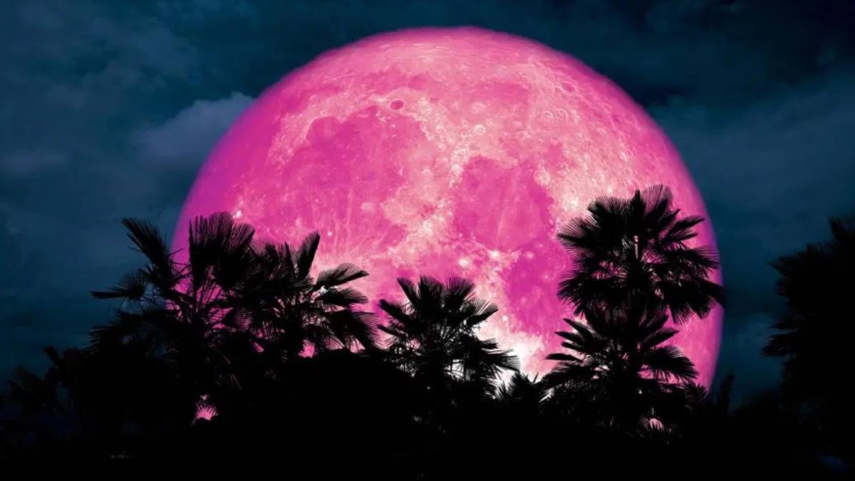 ¿Cuándo y cómo ver la ‘luna rosa’?