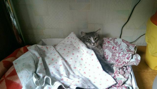 IMG-0d3330ebe351fccd49a2ec75fb7f7c3d-V