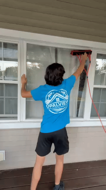 Gentle nylon brush scrubbing frames and glass
