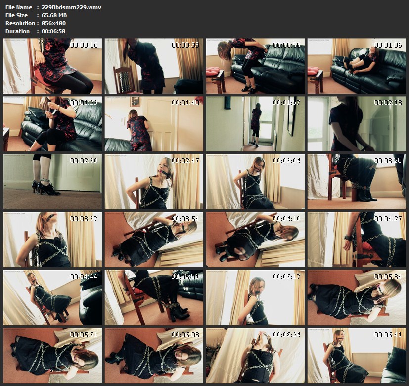 229Bbdsmm229.wmv