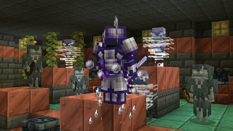 Image 7