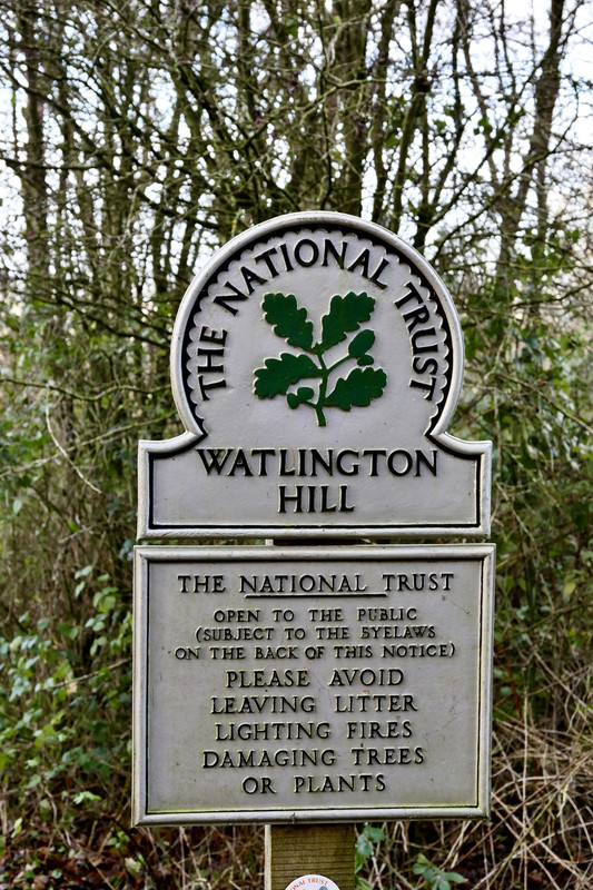 5988A77E-EE47-4303-B38B-D9B8EAF67D20