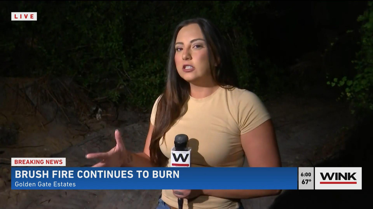 05.23 - 11.00.00 - WINK News @ 6 00AM Sunday. Local news, sports and ....ts_snapshot_01.05_[2021.05.