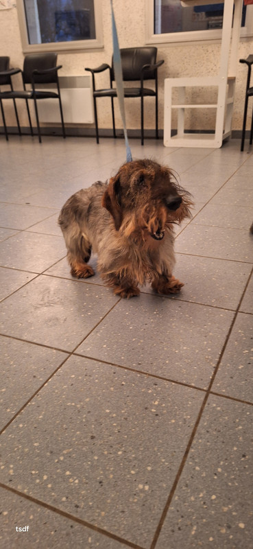 [Image: 20250117-174827.jpg]