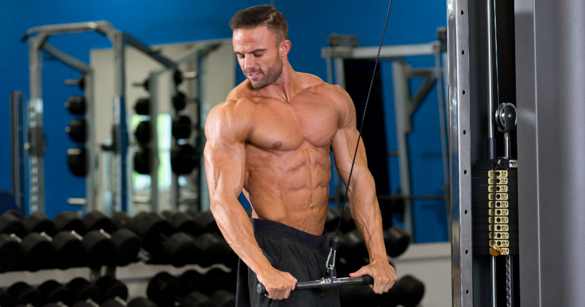 Best Fitness Workouts for Muscle Gain and Definition