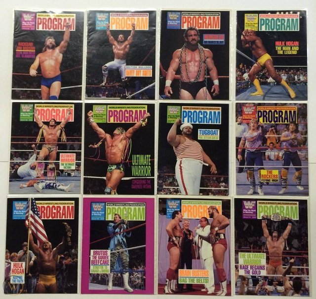 Pro Wrestling Ads/Pics Wwfads1