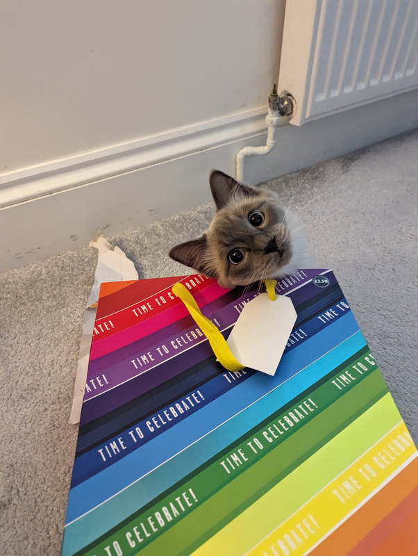 PXL_20240508_054243916