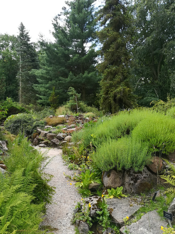 005 - IMG_20190714_125418