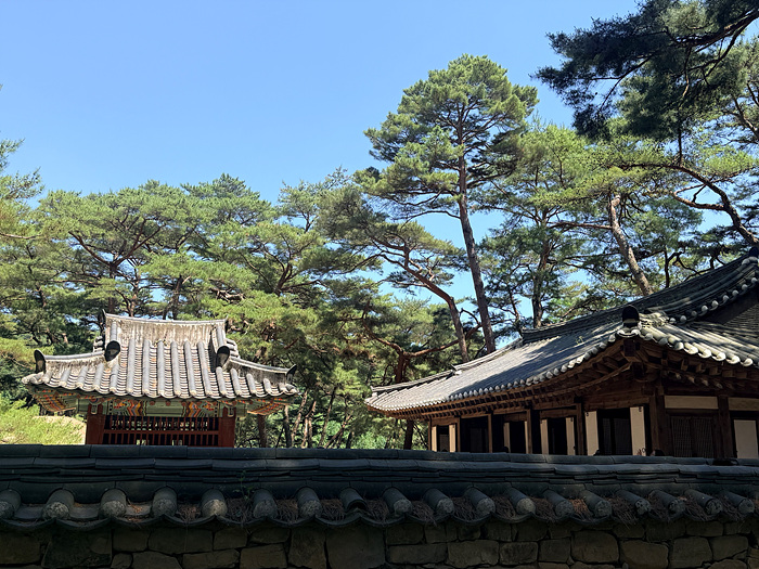 Kakao-Talk-20260601-082316806-19