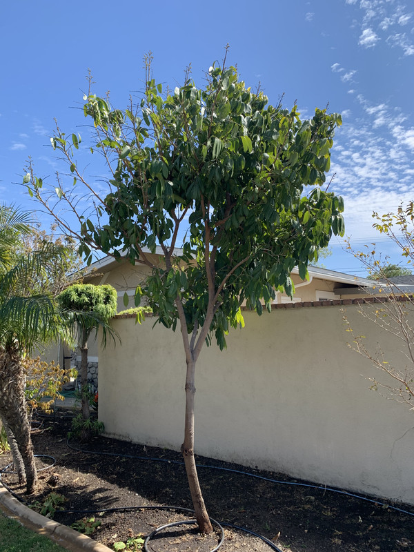 2A4F4ECF-C24D-497F-AF4E-287DF24939B0