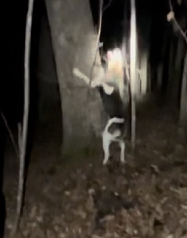 EB482944-9C9C-4A23-B919-A2C472E636E0