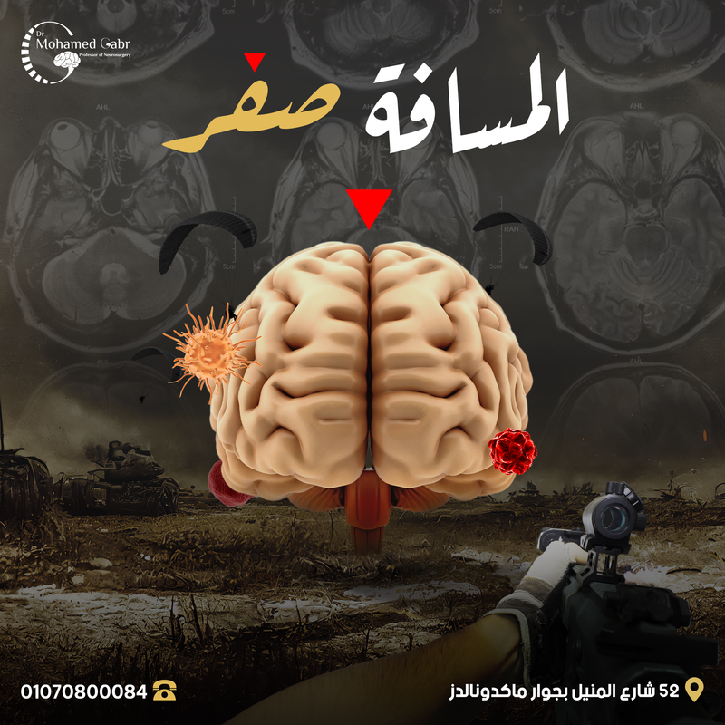 Social Design 13