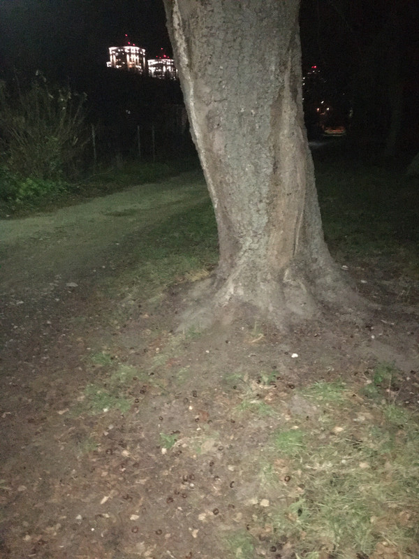 F4840690-A7A0-4A88-818D-AB41260BDF04