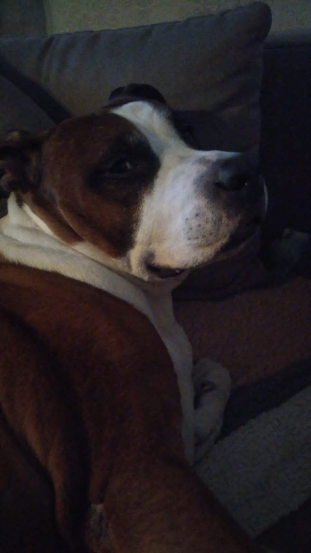 F877446E-107D-4B1F-8198-15300798CDDE