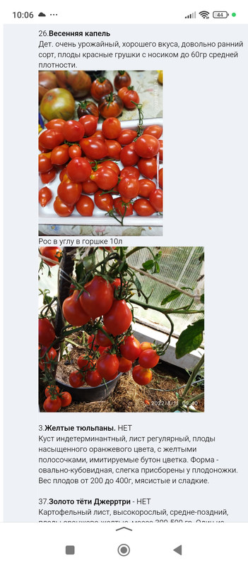 user posted image