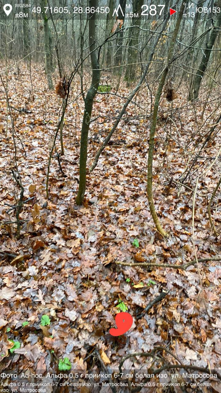 photo 61 2025 12 01 18 10 05