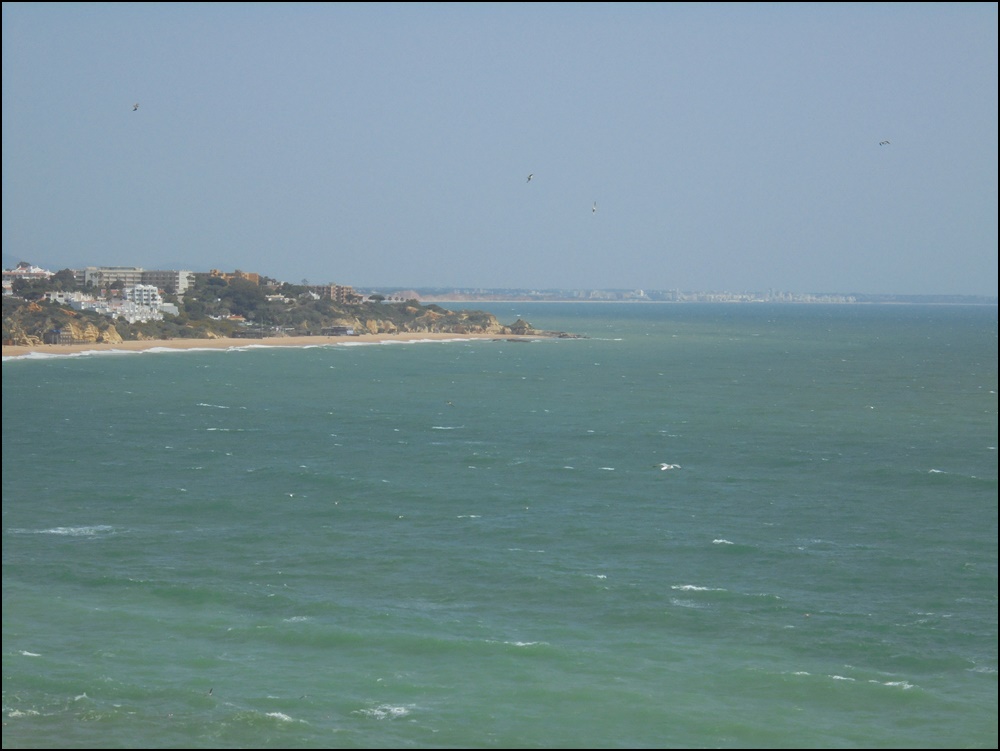 DSC09621