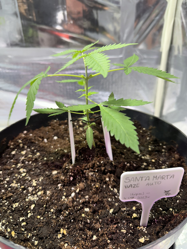 537CD896-7A61-41DF-A83F-57D0E1C399A4