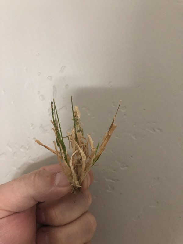 9C8C8AB8-7A13-4BB3-8E15-CB885E1CD2FB